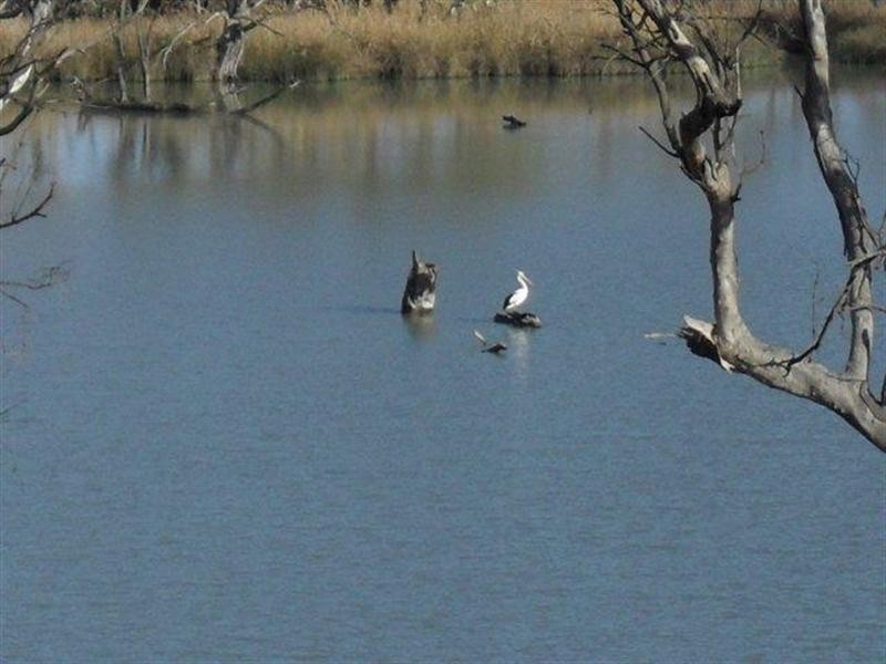 294 Taylorville Road, Waikerie SA 5330