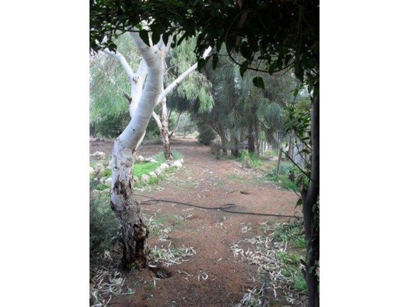 294 Taylorville Road, Waikerie SA 5330