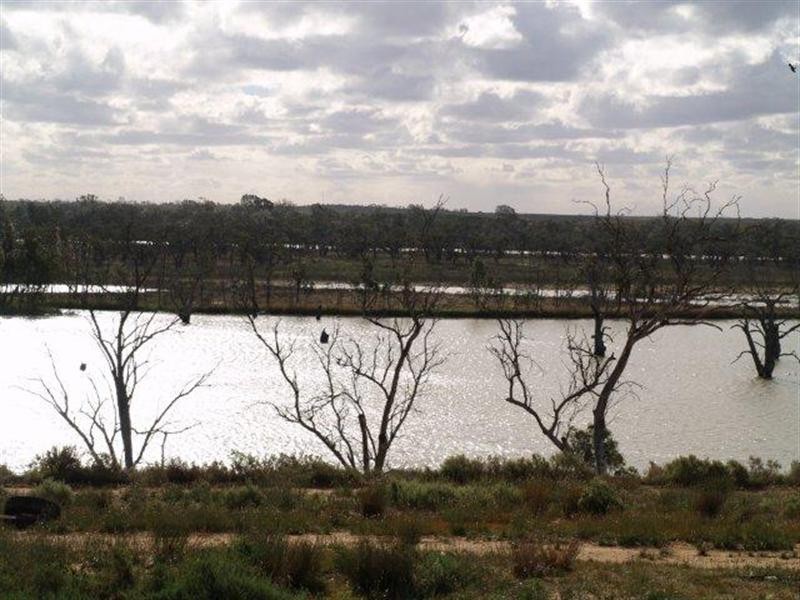 294 Taylorville Road, Waikerie SA 5330