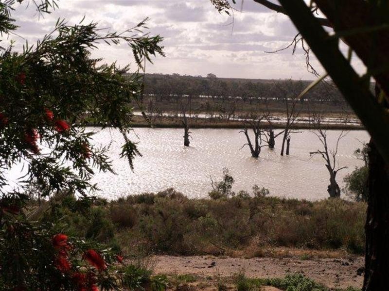 294 Taylorville Road, Waikerie SA 5330