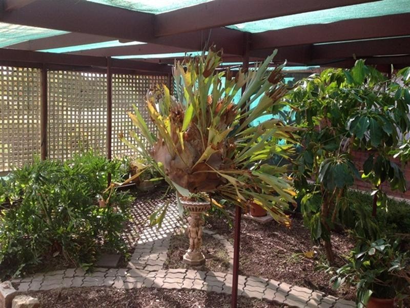 9 Fairway Avenue, Barmera SA 5345