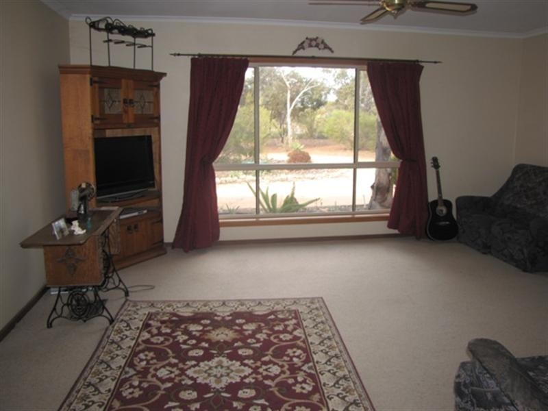 726 Thiele Road, Loveday SA 5345