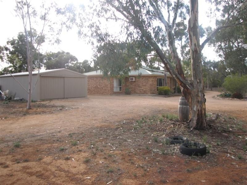 726 Thiele Road, Loveday SA 5345