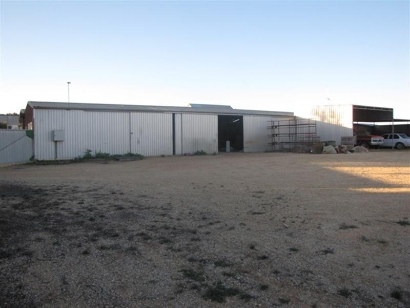 55 Robertson Avenue, Loxton SA 5333