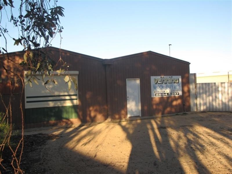 55 Robertson Avenue, Loxton SA 5333