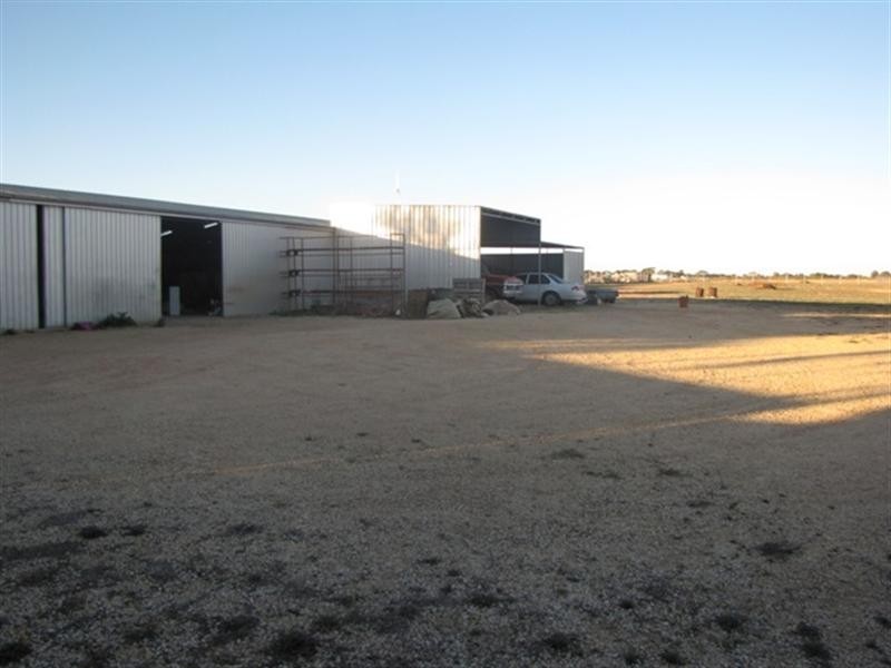 55 Robertson Avenue, Loxton SA 5333