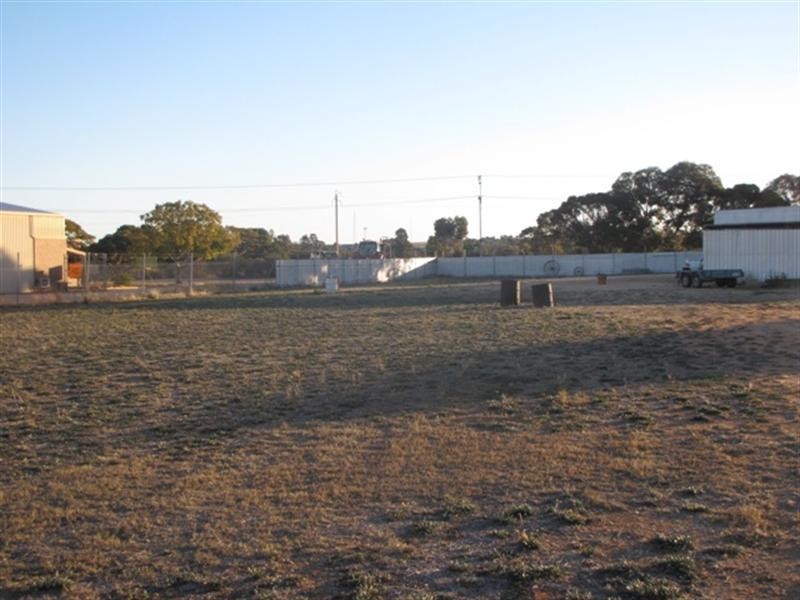 55 Robertson Avenue, Loxton SA 5333