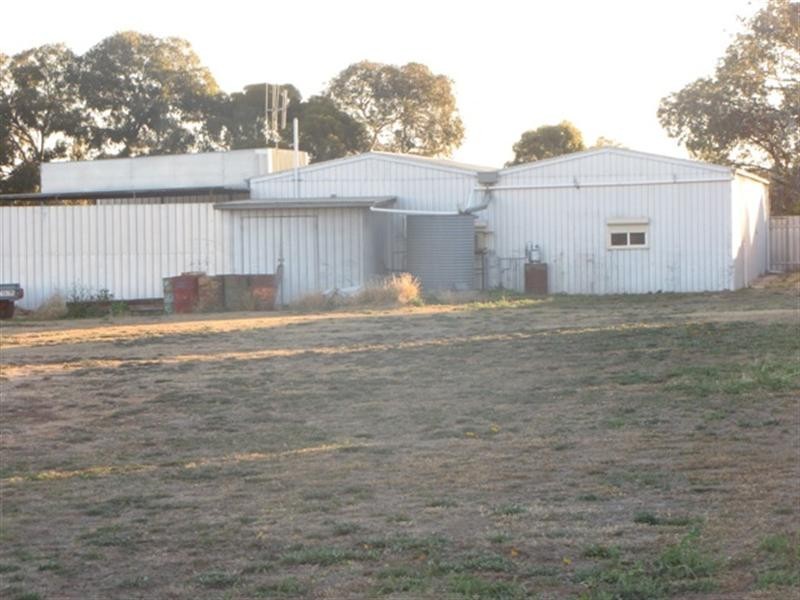 55 Robertson Avenue, Loxton SA 5333