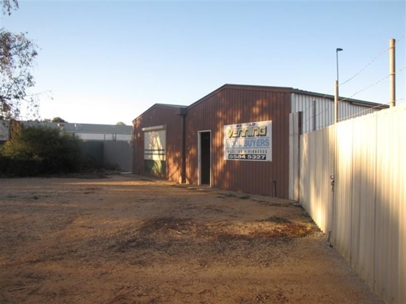 55 Robertson Avenue, Loxton SA 5333