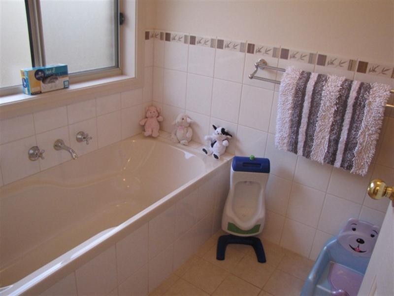 9 Bosman Drive, Berri SA 5343