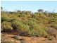 Lot 50 Wheatley Road, Loxton SA 5333