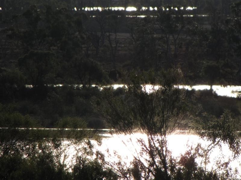 Lot 50 Wheatley Road, Loxton SA 5333