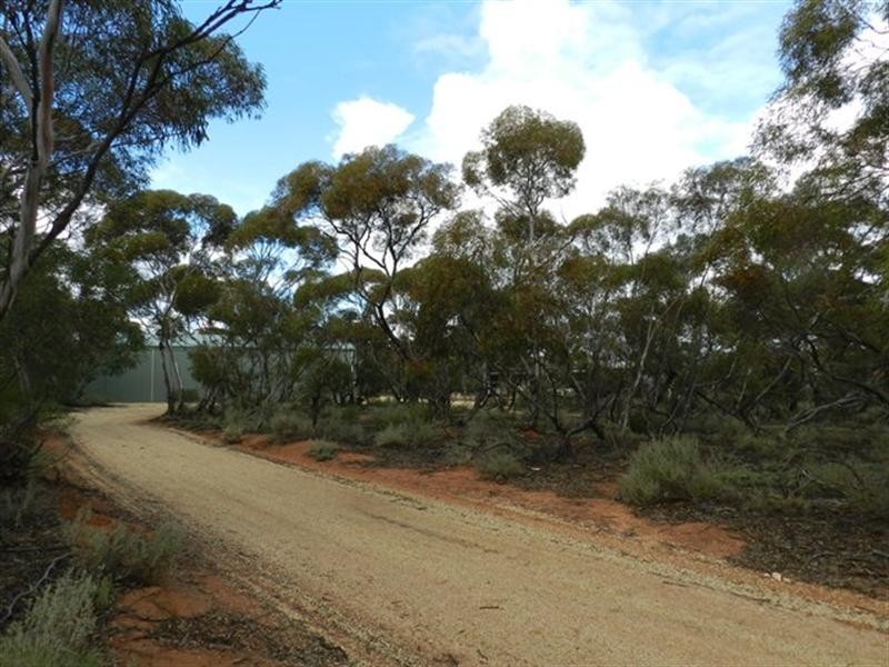 209 Bassham Road, Barmera SA 5345