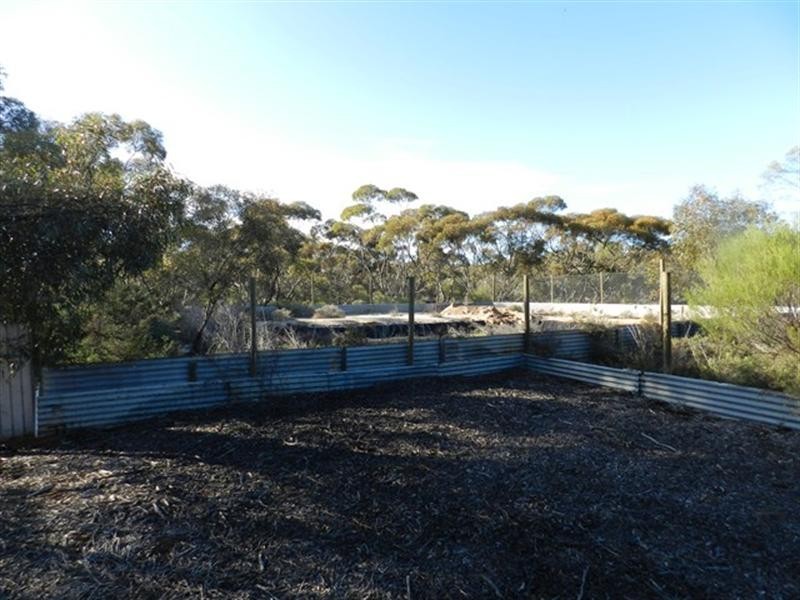 209 Bassham Road, Barmera SA 5345