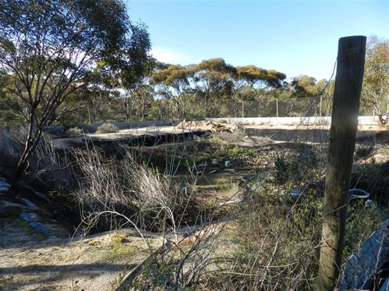 209 Bassham Road, Barmera SA 5345