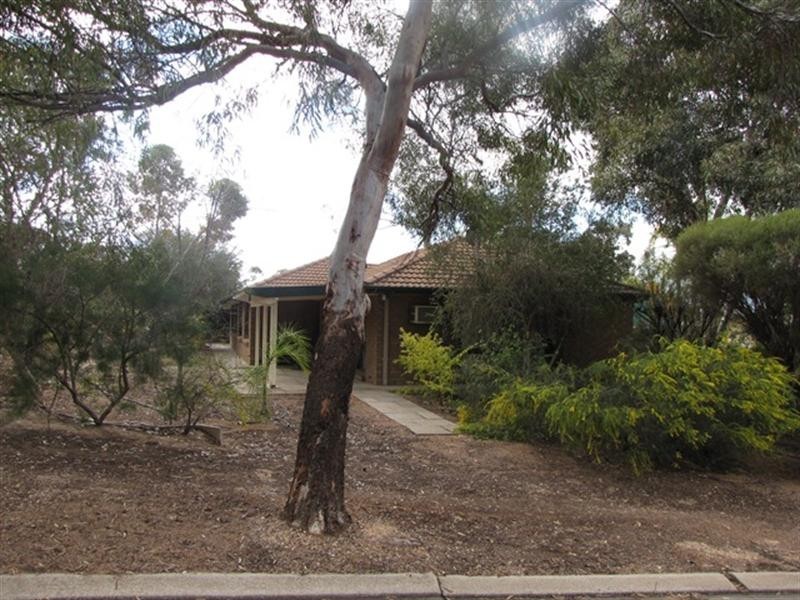 47 Derrick Street, Berri SA 5343