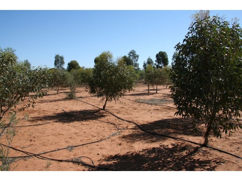 Lot 2 Fairweather Avenue, Loxton North SA 5333