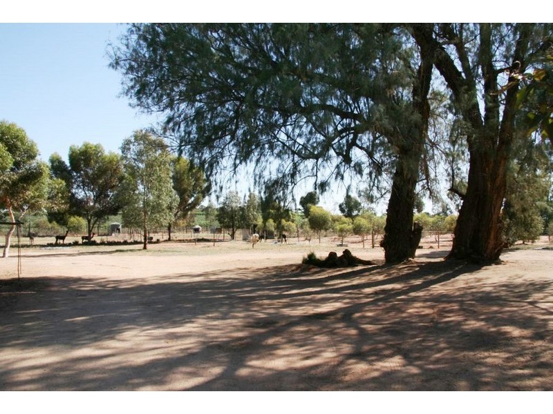 Lot 2 Fairweather Avenue, Loxton North SA 5333
