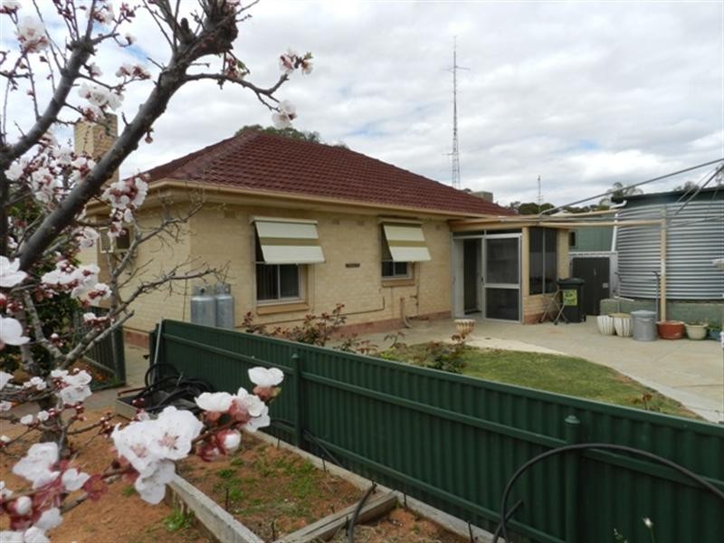 21 Hawdon Street, Barmera SA 5345
