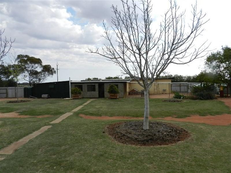402 Distillery Road, Monash SA 5342
