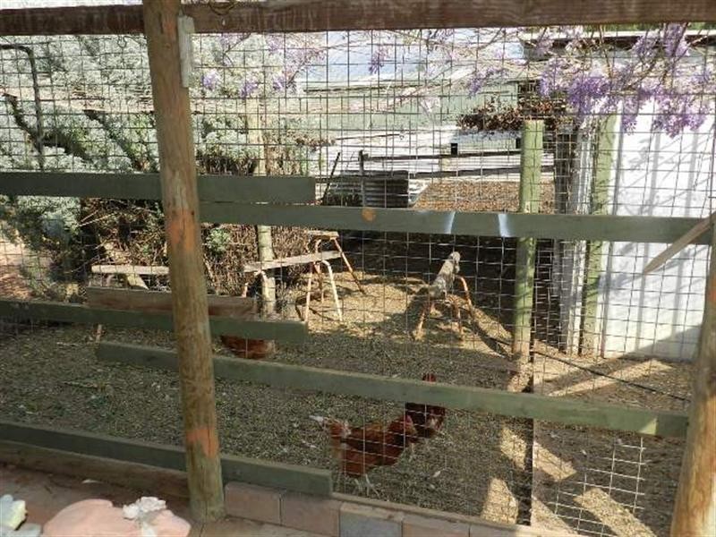 402 Distillery Road, Monash SA 5342