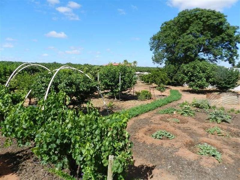 402 Distillery Road, Monash SA 5342