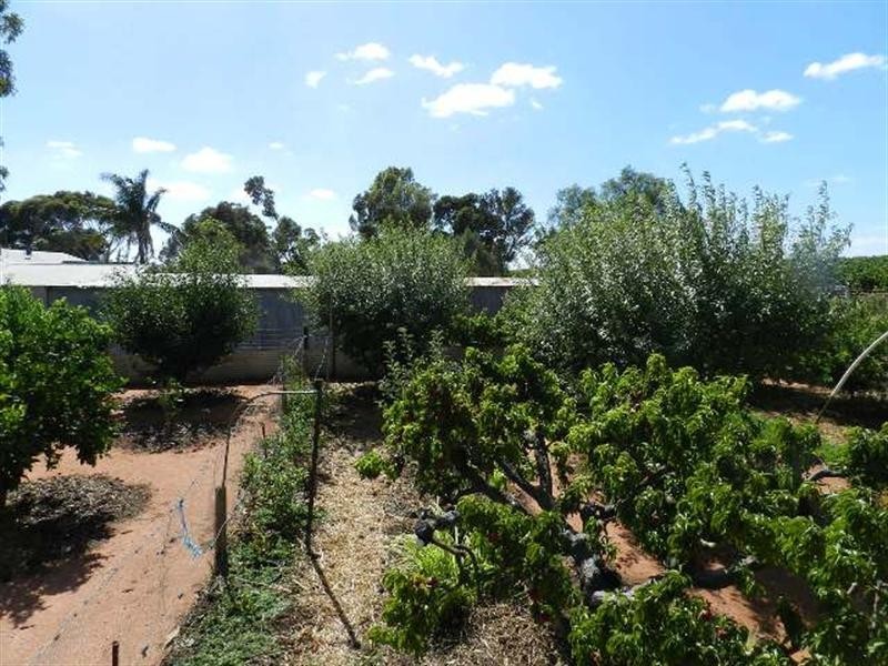 402 Distillery Road, Monash SA 5342