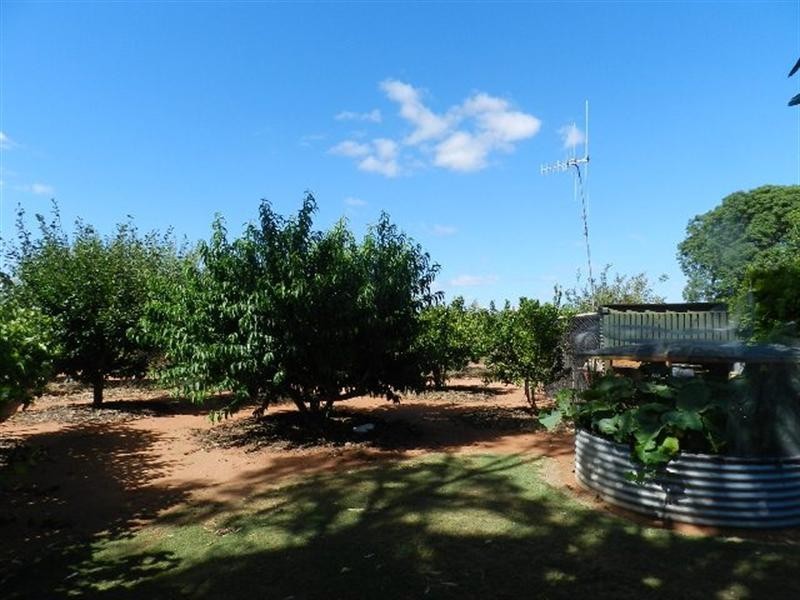 402 Distillery Road, Monash SA 5342