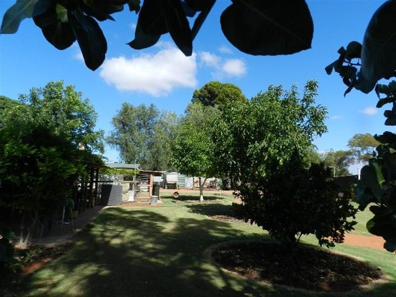 402 Distillery Road, Monash SA 5342