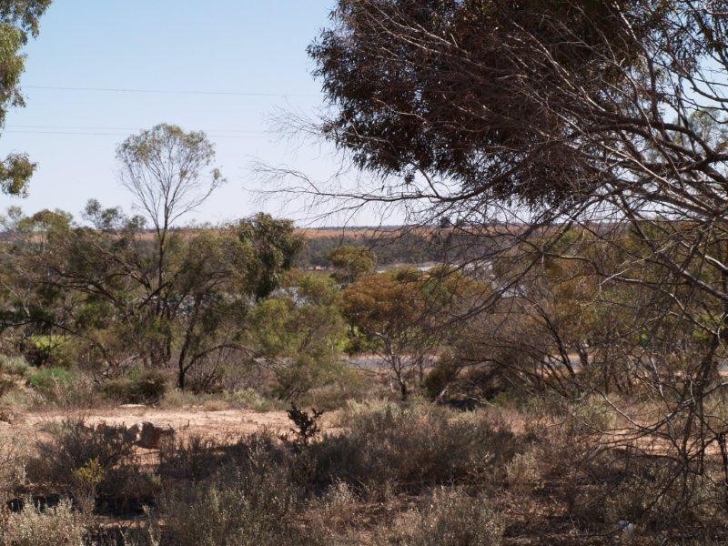 15 Holder Bottom Road, Waikerie SA 5330