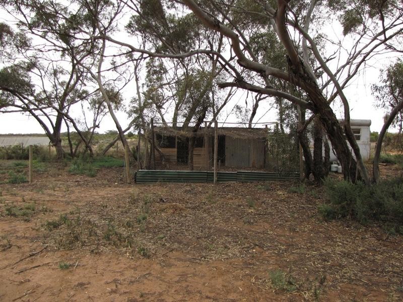 39 Henry Road, Kingston On Murray SA 5331