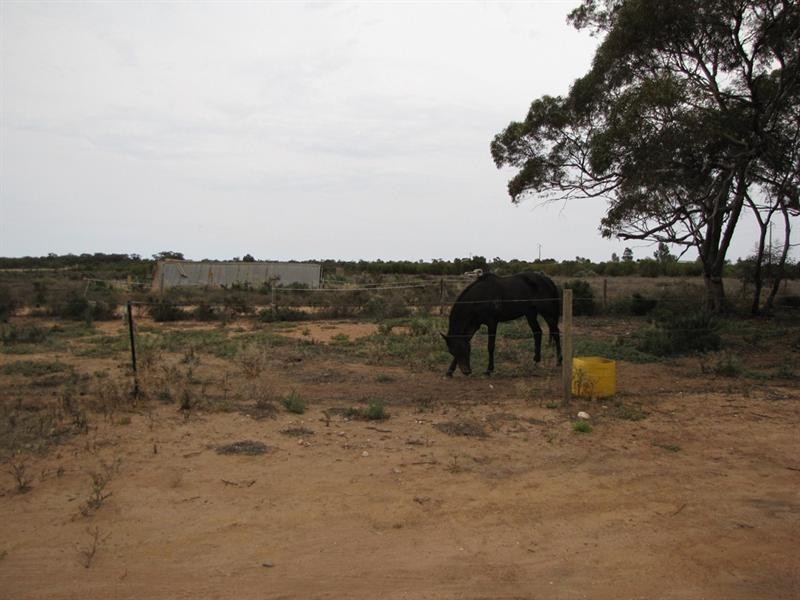 39 Henry Road, Kingston On Murray SA 5331