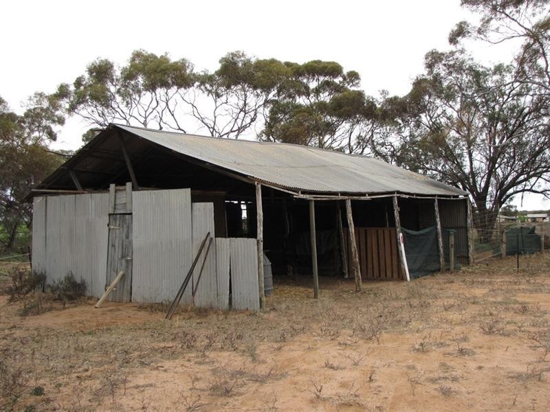 39 Henry Road, Kingston On Murray SA 5331