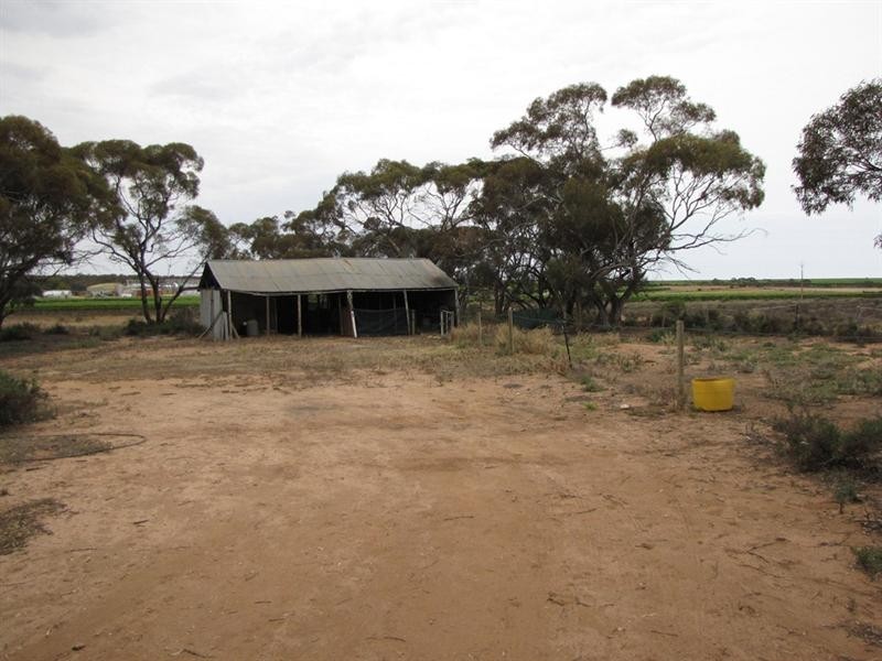 39 Henry Road, Kingston On Murray SA 5331