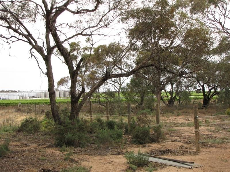 39 Henry Road, Kingston On Murray SA 5331