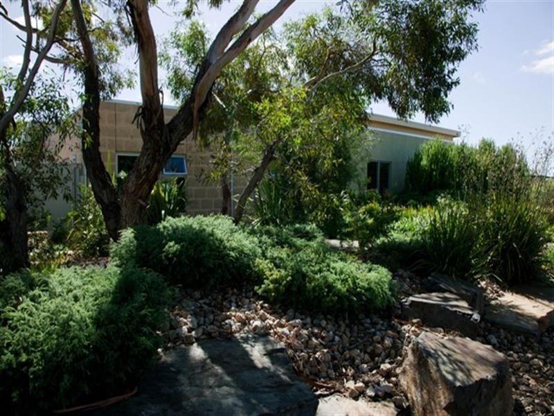 6 Federal Street, Morgan SA 5320