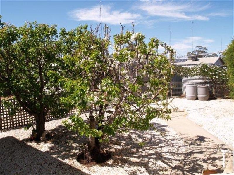 4 Miller Street, Waikerie SA 5330