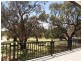 377 Scotts Creek, Morgan SA 5320