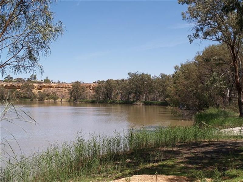 377 Scotts Creek, Morgan SA 5320