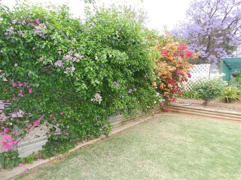 57 Kay Avenue, Berri SA 5343