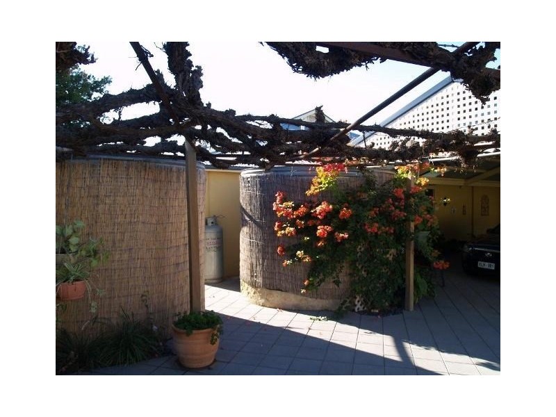 1 Thompson Street, Waikerie SA 5330