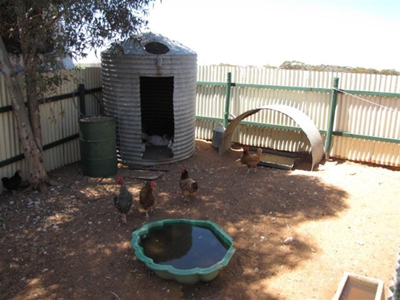 9 Fleming Street, Moorook SA 5332