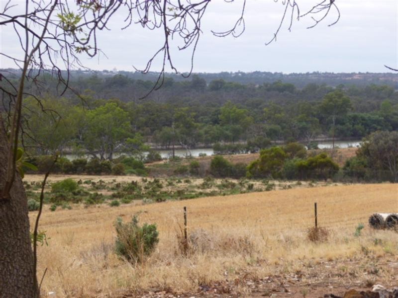 2961 Kingston Road, Loxton SA 5333