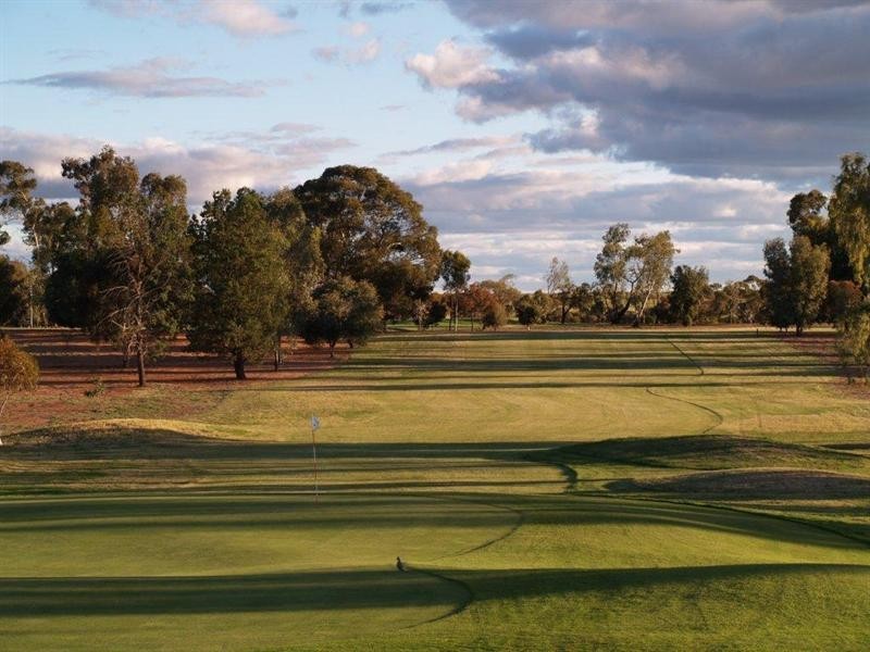 22 Dunlop Road, Waikerie SA 5330