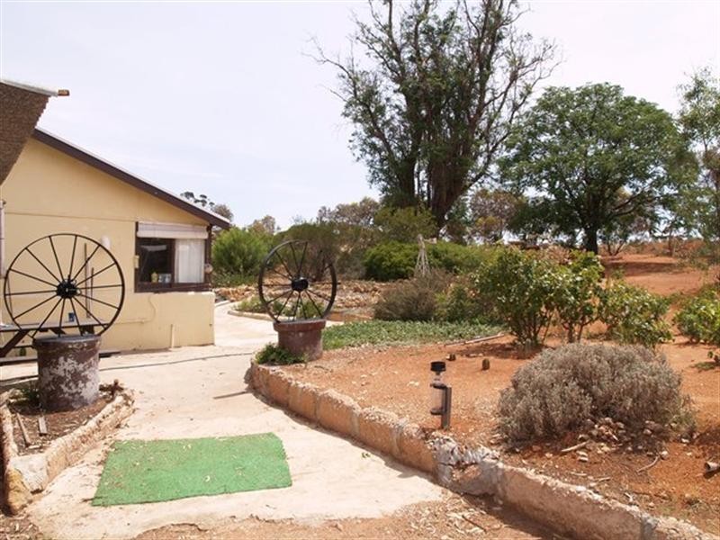 146 Smyth Road, Cadell SA 5321