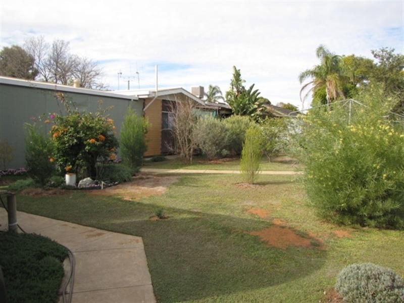 13 Jellett Road, Berri SA 5343