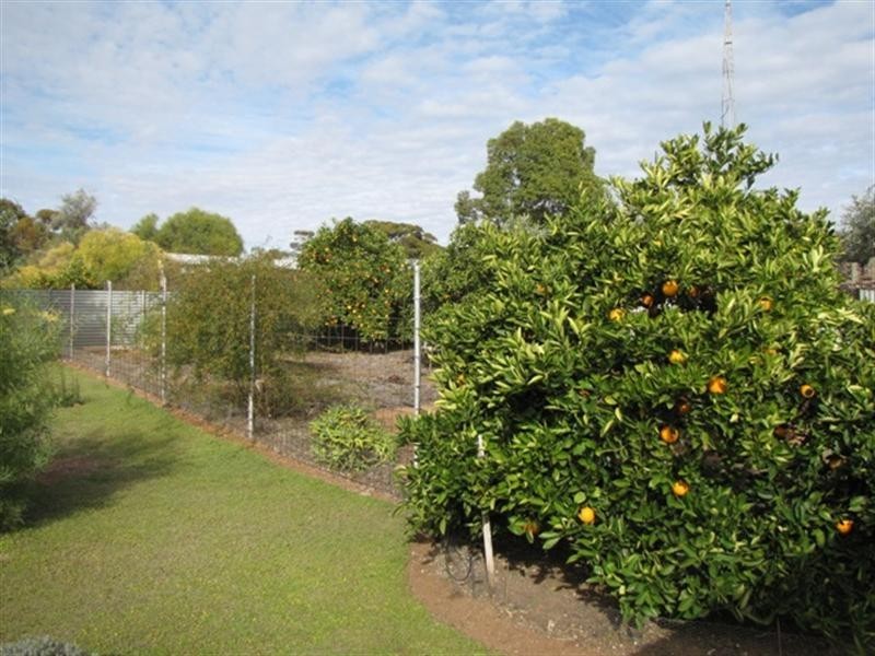 13 Jellett Road, Berri SA 5343