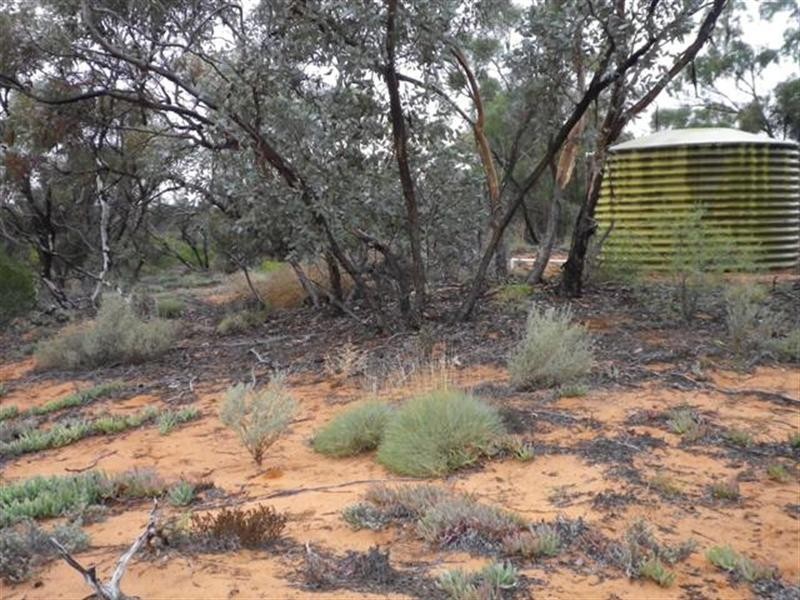 Lot 494 Jury Road, Monash SA 5342