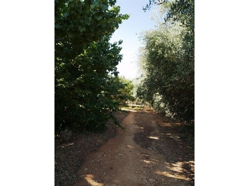 20 Crocker Road, Waikerie SA 5330