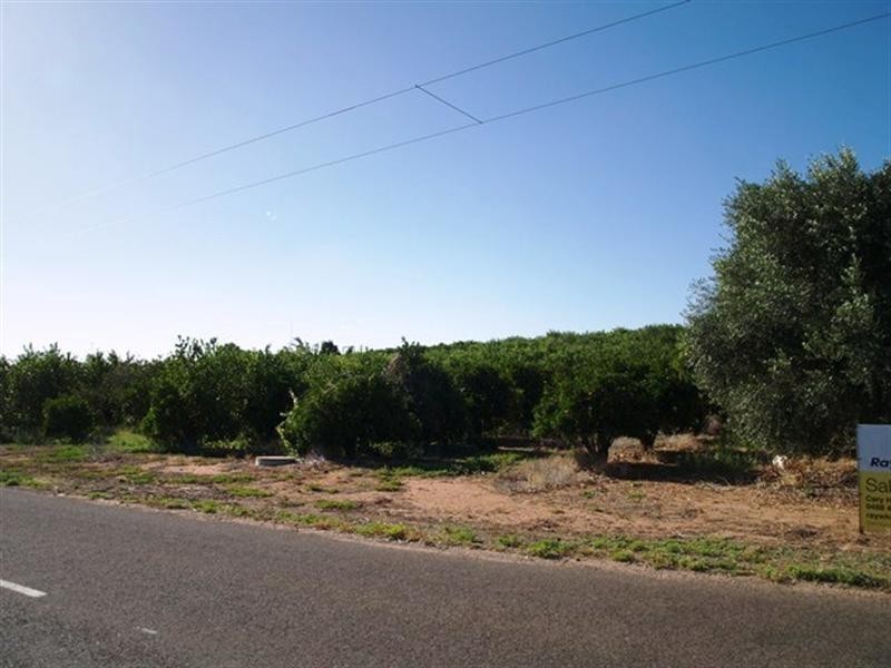 20 Crocker Road, Waikerie SA 5330